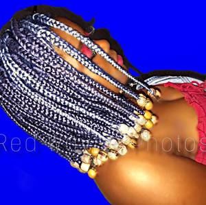 Meet your Posher, Sammy